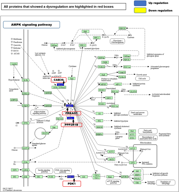 Figure 6