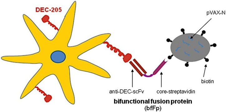 Fig. 15