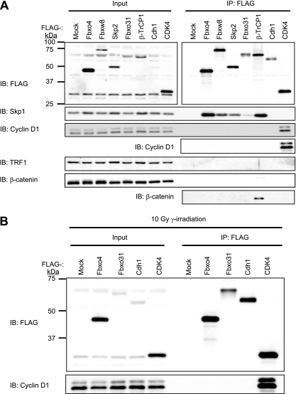 FIG 11