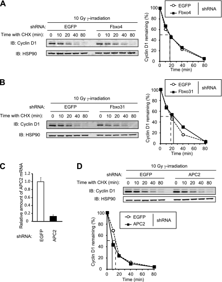 FIG 10