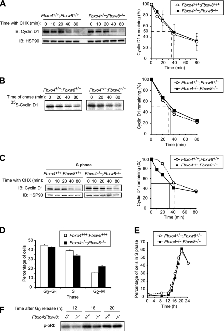 FIG 6