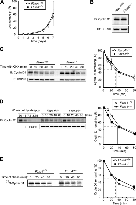 FIG 2