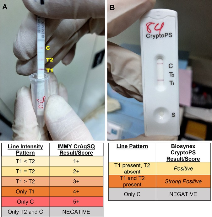 FIG 1