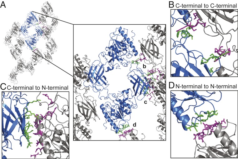 Fig. 3.