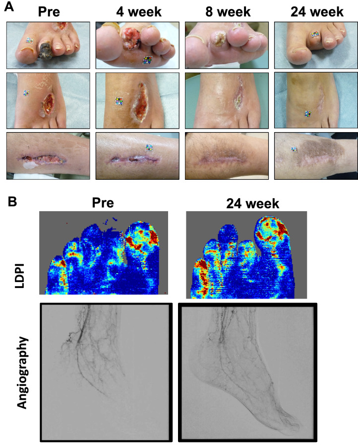 Fig. 7