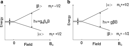 Fig. 1