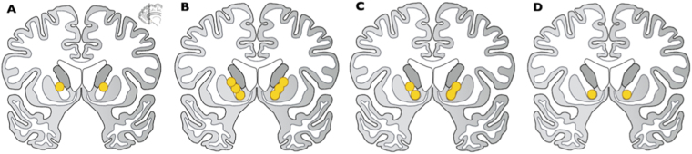 Fig. 8