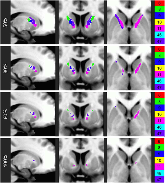 Fig. 12