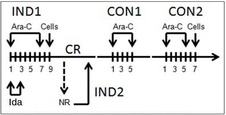 FIGURE 1