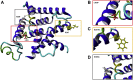 Figure 10