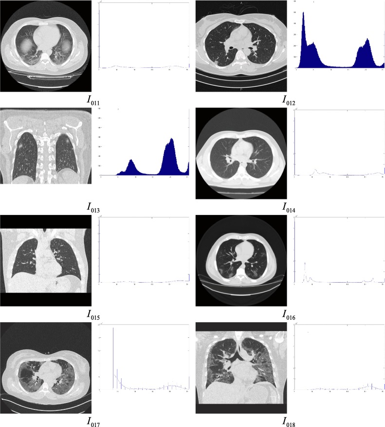 Fig. 5