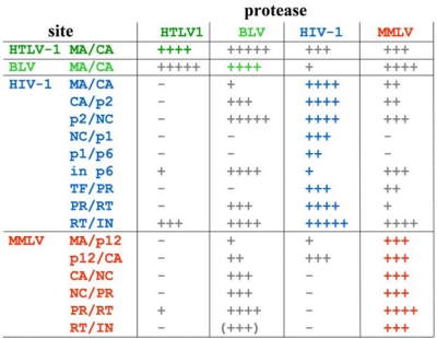 Figure 7.