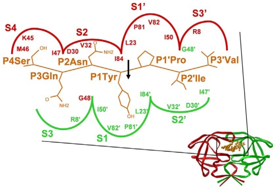 Figure 5.