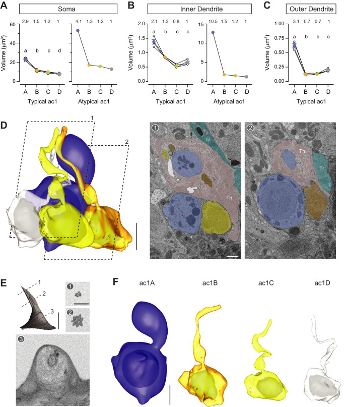 Figure 4—figure supplement 1.