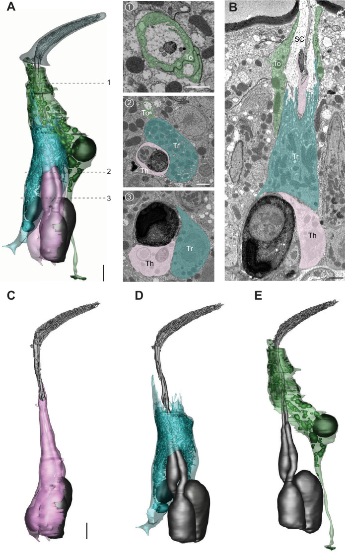 Figure 10.