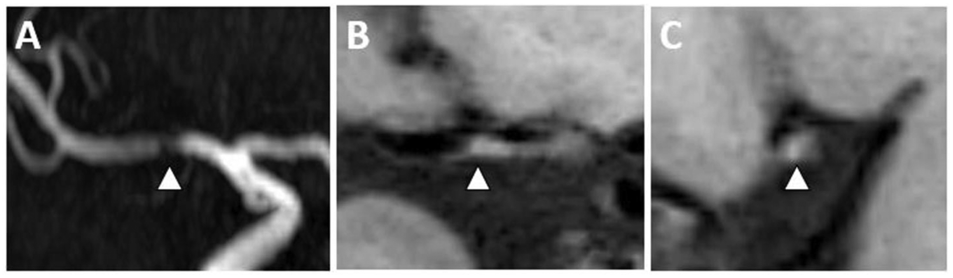 Figure 5: