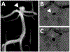Figure 10: