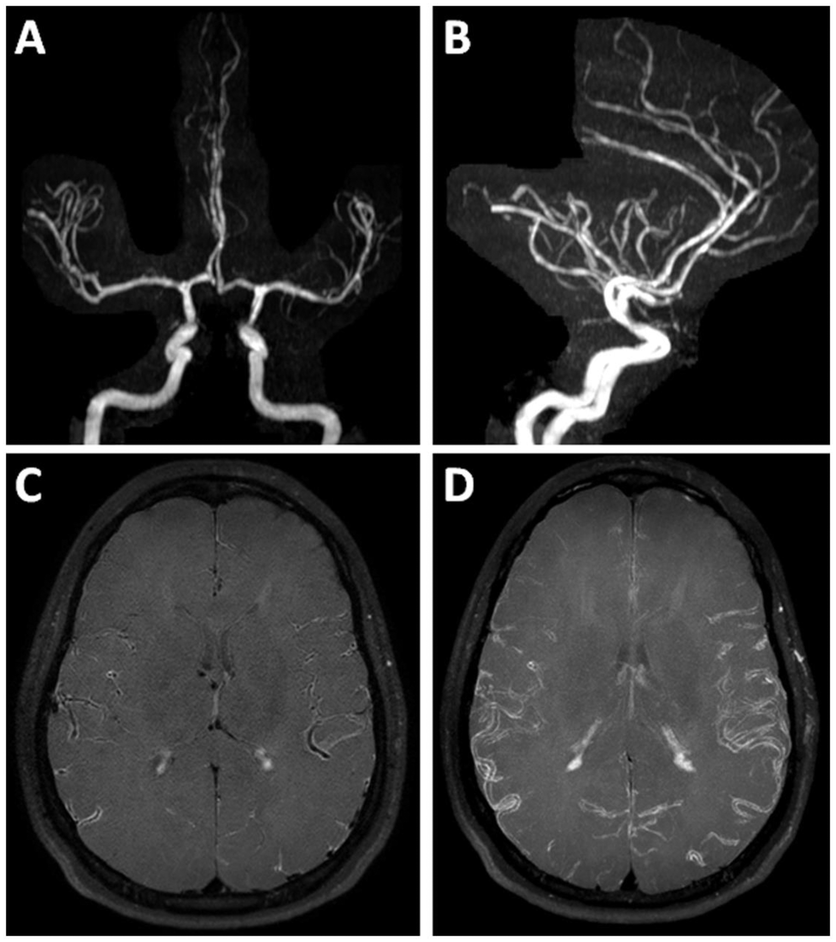 Figure 12: