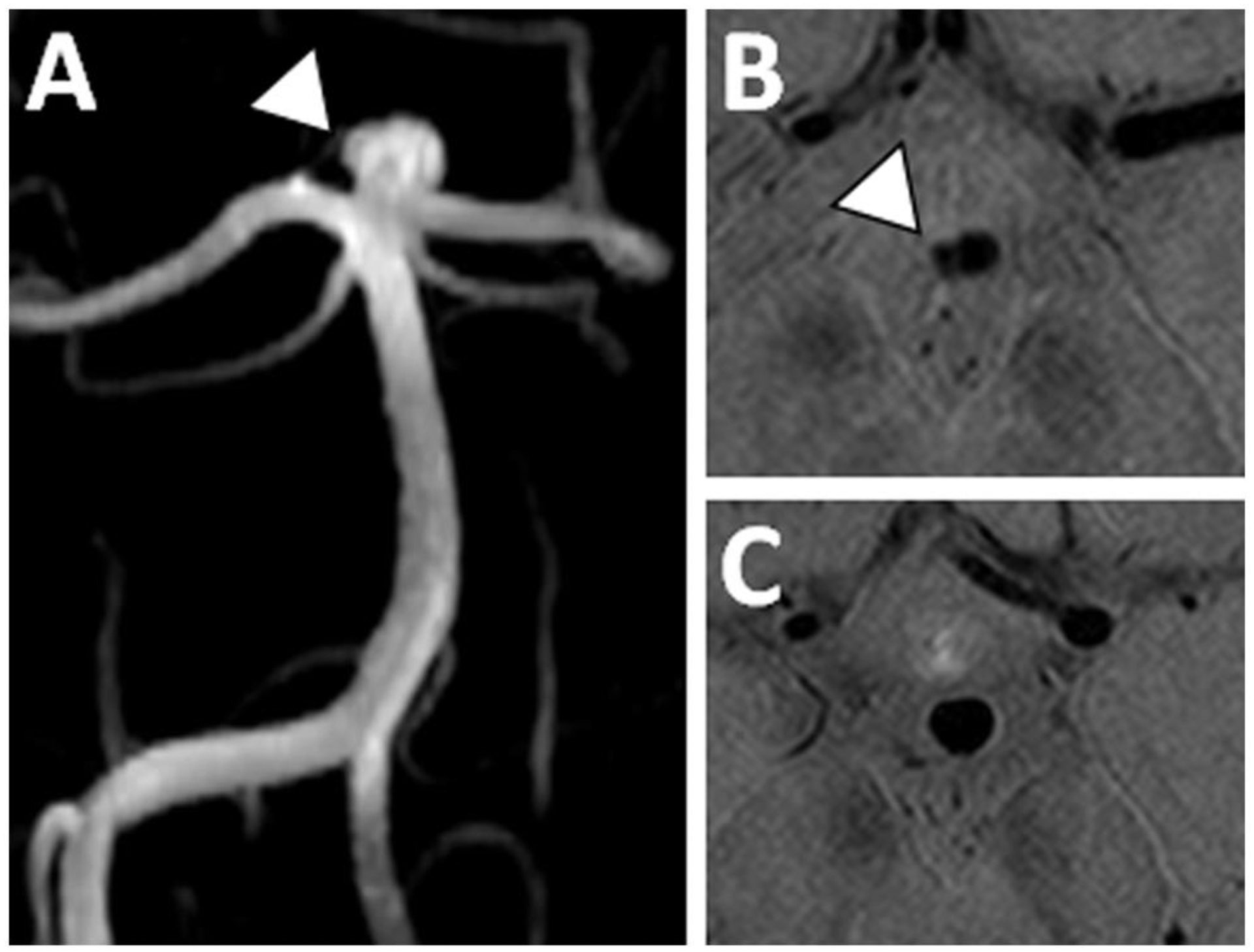 Figure 10: