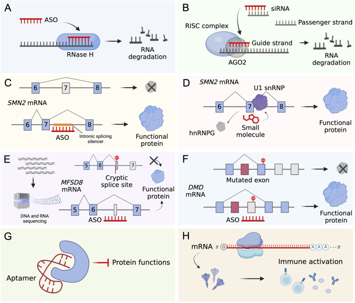 Figure 1: