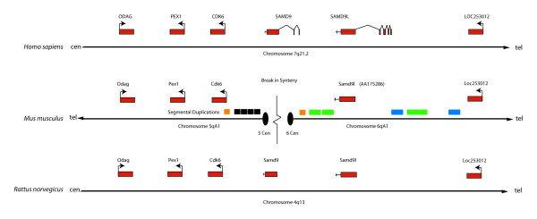 Figure 7