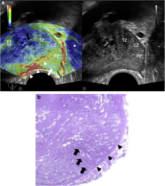 Figure 4