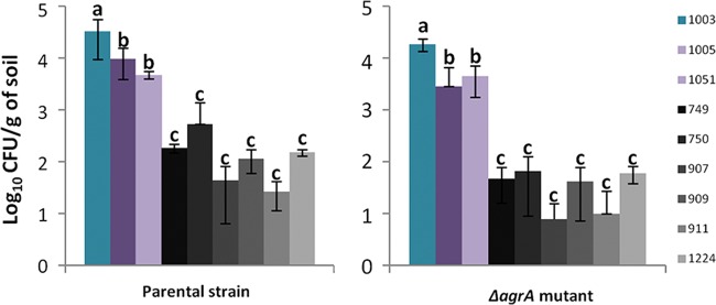 FIG 3