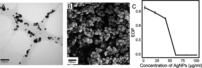 FIG 2