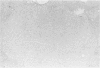 400