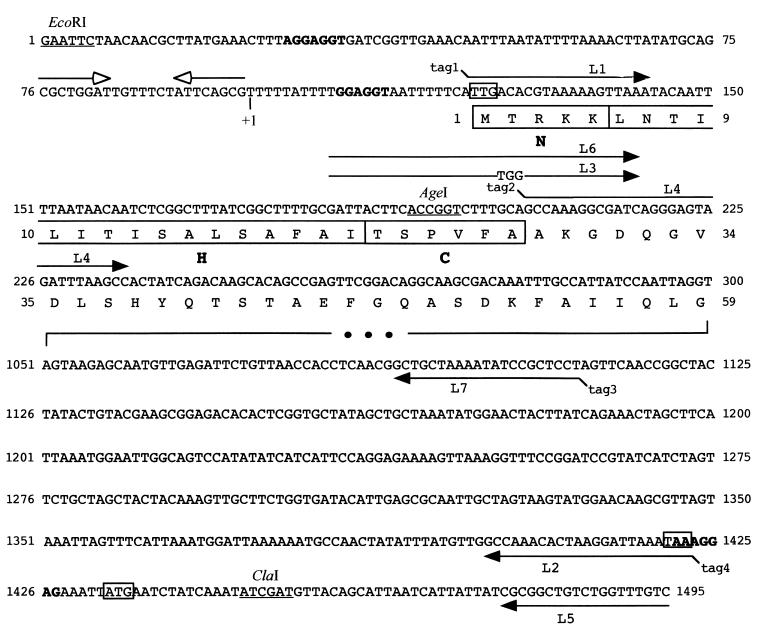 FIG. 1