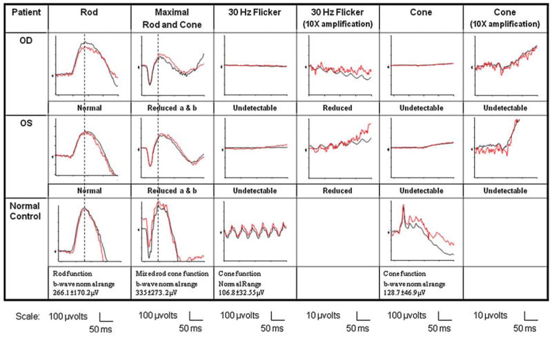 Fig. 4