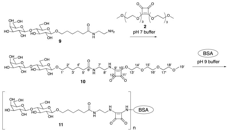 Scheme 3