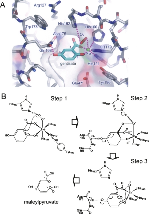 Figure 5.