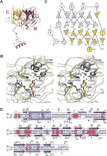 Figure 2.