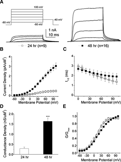 FIG. 9.