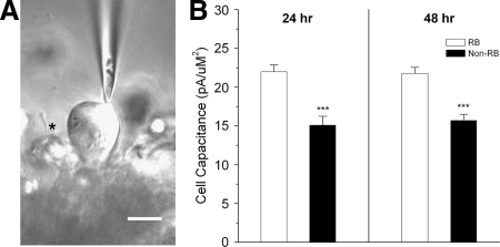 FIG. 1.