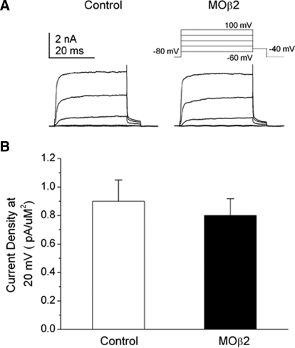 FIG. 7.