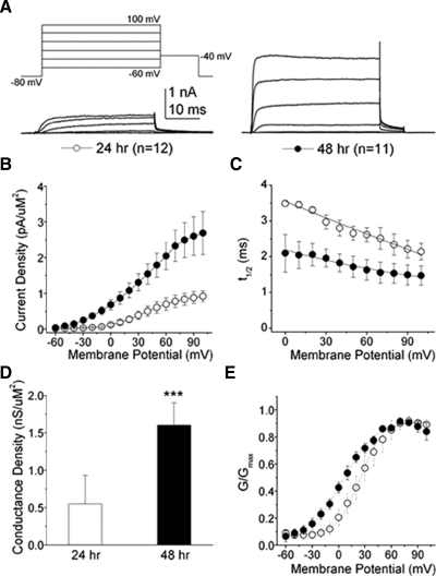 FIG. 10.