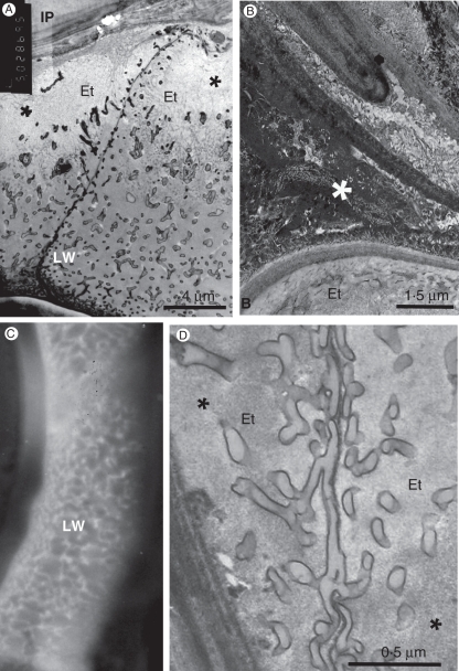 Fig. 10.