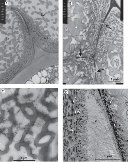 Fig. 9.