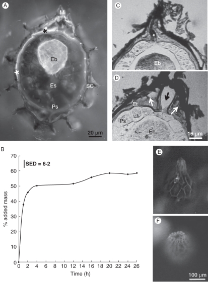 Fig. 11.