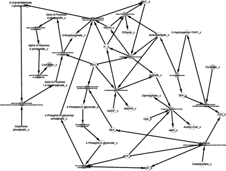 Fig. 10