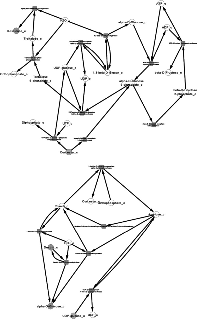 Fig. 5