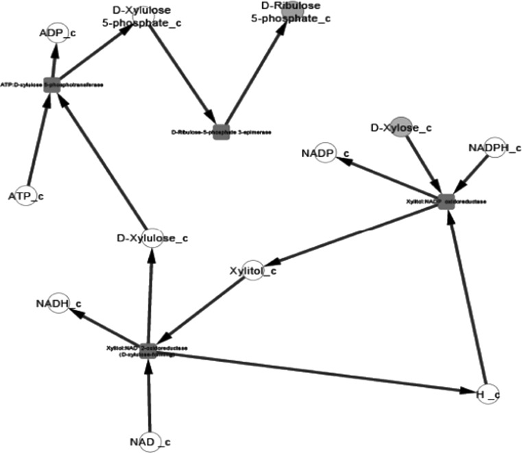 Fig. 2