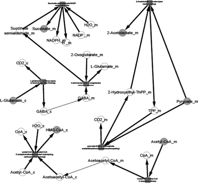 Fig. 1