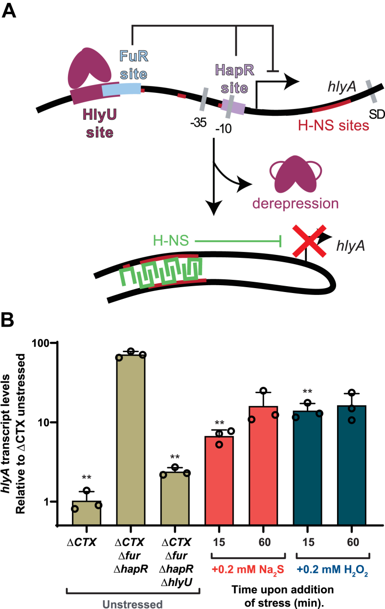 Figure 4