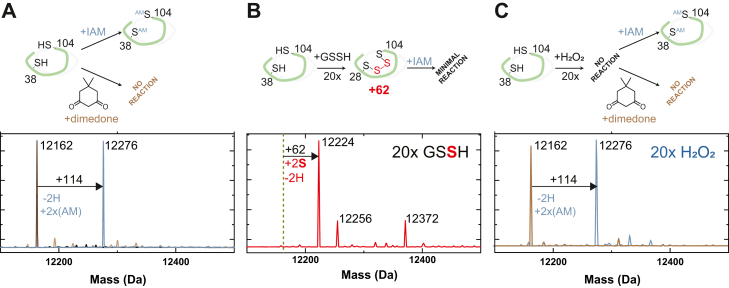 Figure 2