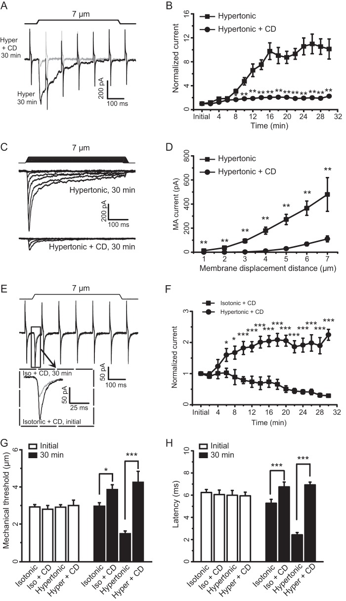 FIGURE 7.