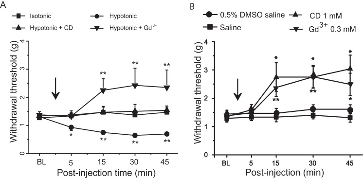 FIGURE 11.