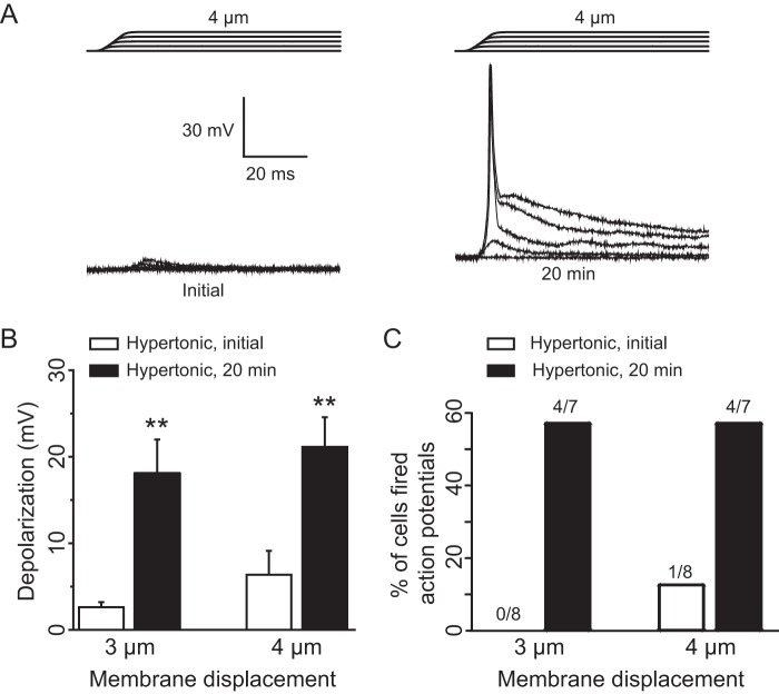 FIGURE 10.